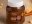Unal Cocoa Hazelnut Cream 320G