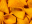 MAISCHIPS V