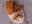 GETROCKNETES FRUCHTPULP NUSSBAUM V